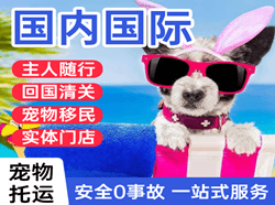 萨尔图国际宠物托运 【国